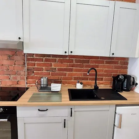 Theapartments Radwanska Lodž Pokoj fotografie