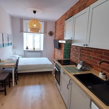 Theapartments Radwanska Lodž Pokoj fotografie