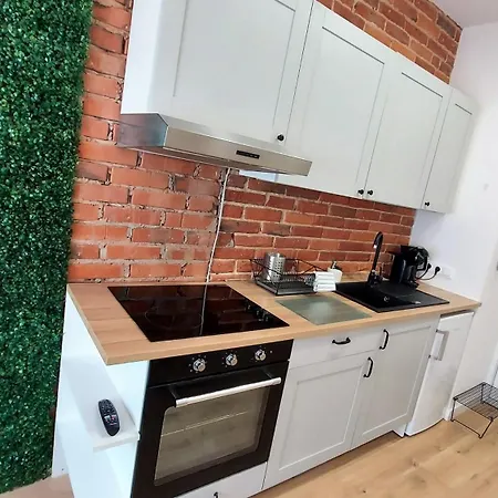 Theapartments Radwanska Lodž Pokoj fotografie