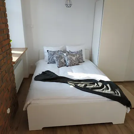 Theapartments Radwanska Lodž Pokoj fotografie