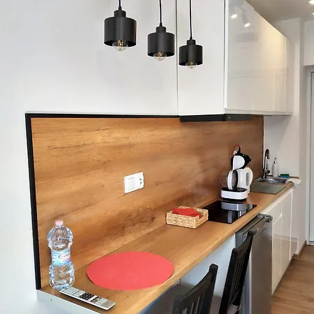 Theapartments Radwanska Lodž Pokoj fotografie