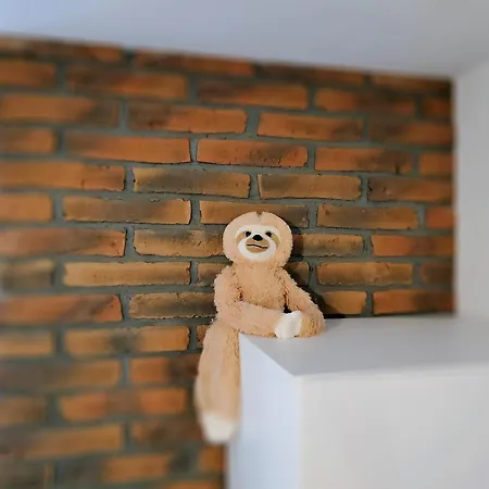Theapartments Radwanska Lodž Pokoj fotografie