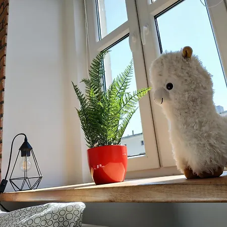 Theapartments Radwanska Lodž Pokoj fotografie