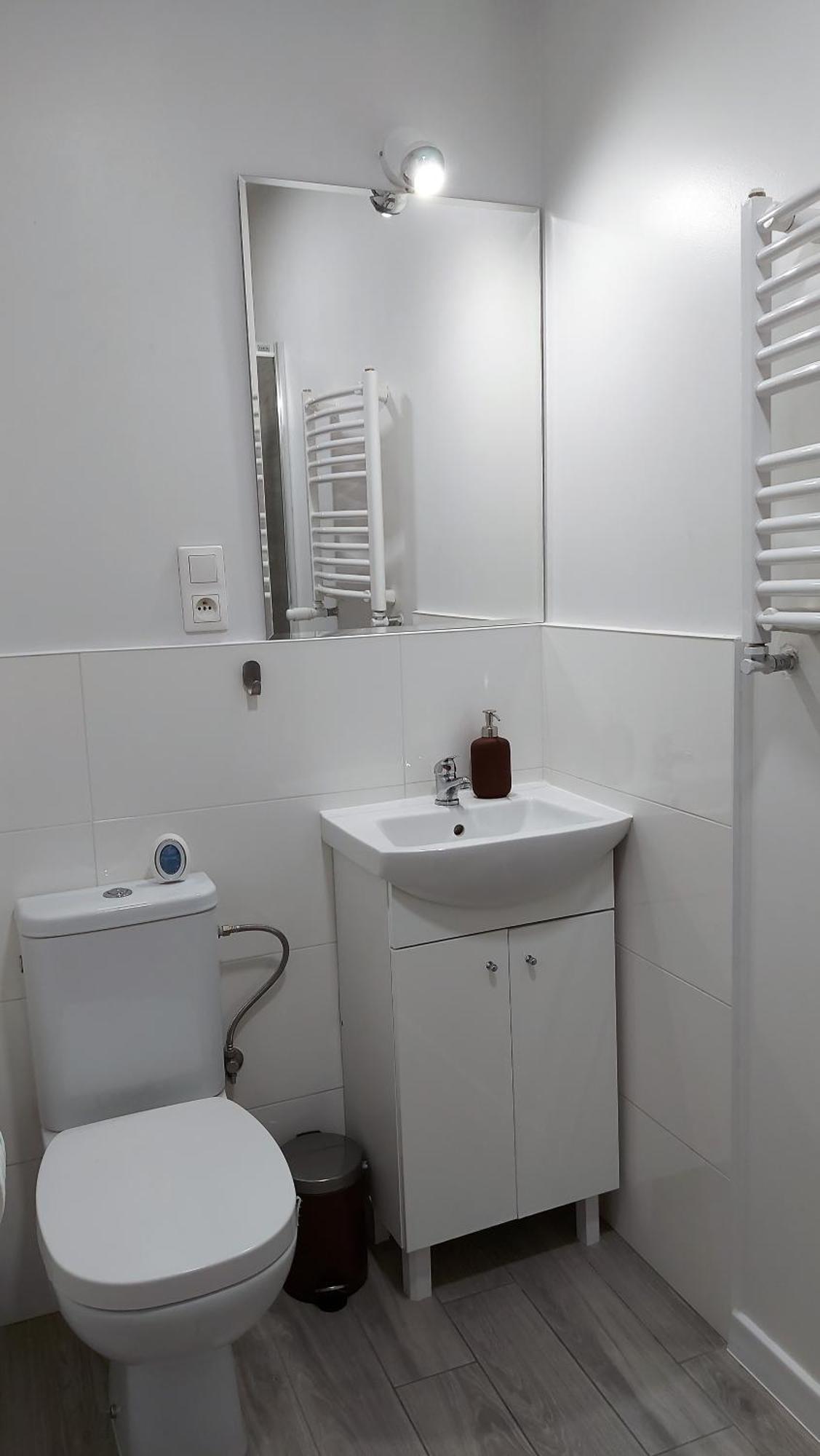 Apartment Theapartments Radwanska Lodz (Lodz)